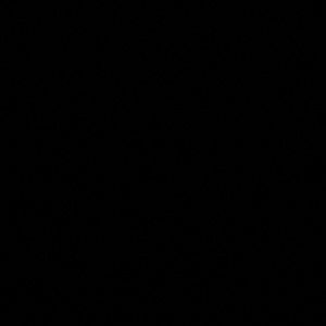 Meet your Posher, Lacy